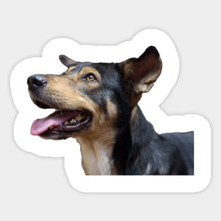 i love dog Sticker